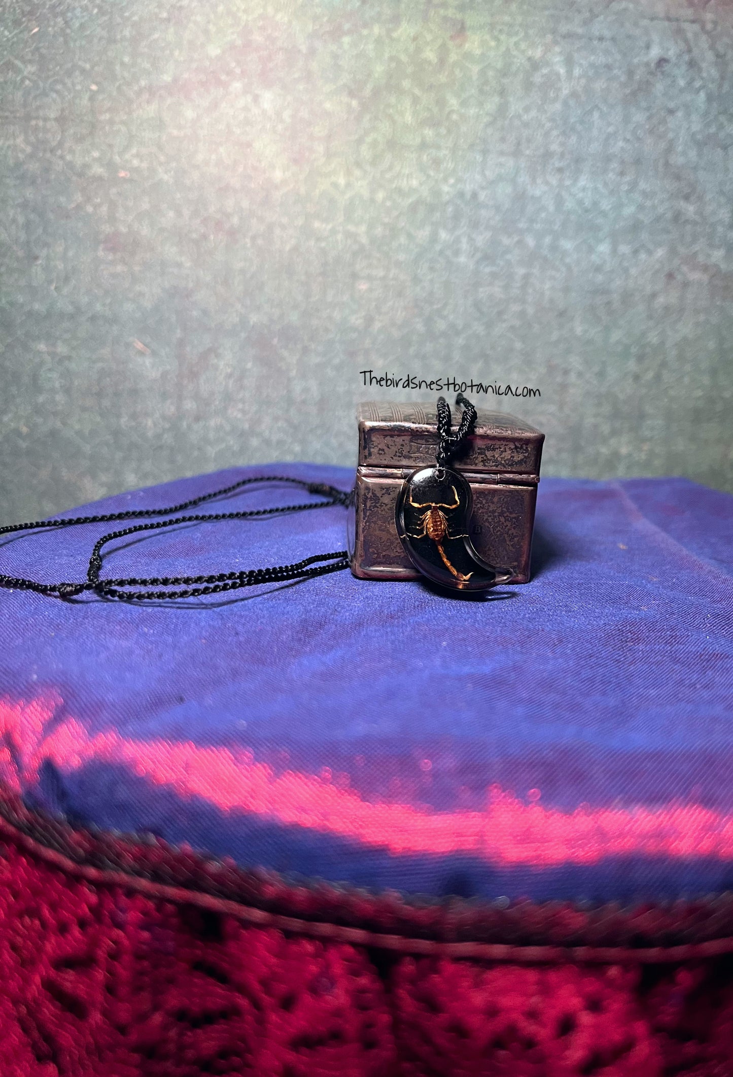 Preserved Scorpion Yin & Yang Necklace