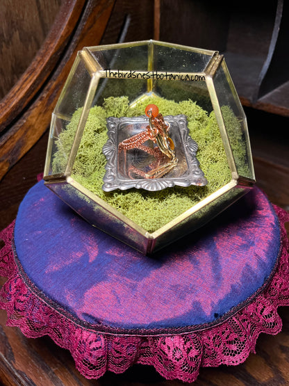 "Wu Zetian" Red Adventuring & Tigerseye Copper Wire Wrapped ring (Size 9)