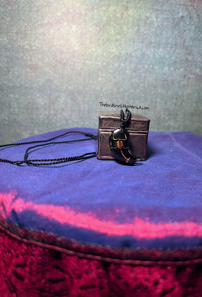 Preserved Scorpion Yin & Yang Necklace