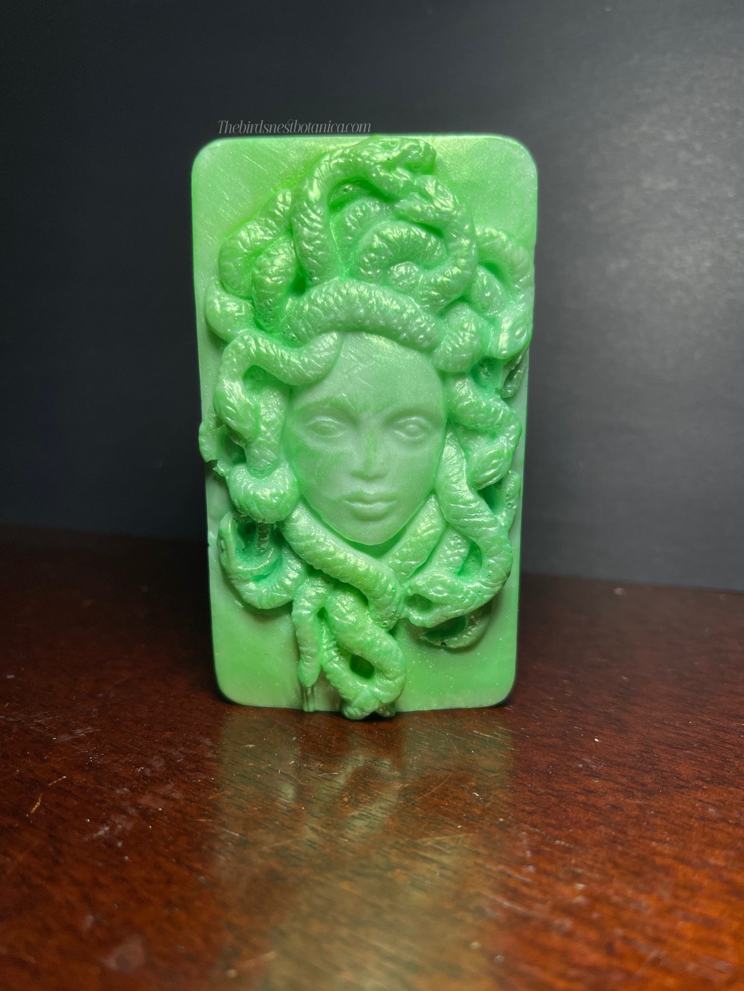 "Gorgon's Garden" Sudsy Shea Butter Soap Bar