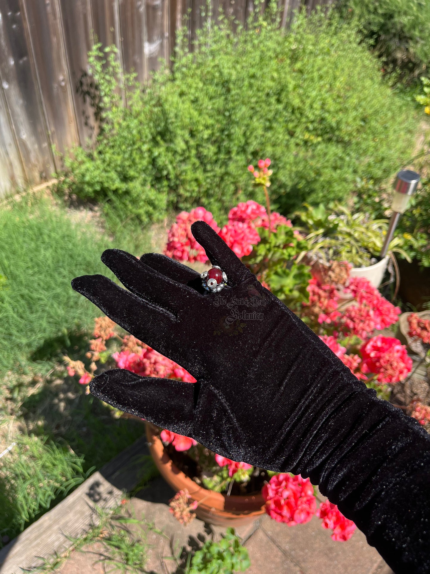 "Elvira's Crimson Hex" Gunmetal Wire Wrapped Ring (Size 8/9)